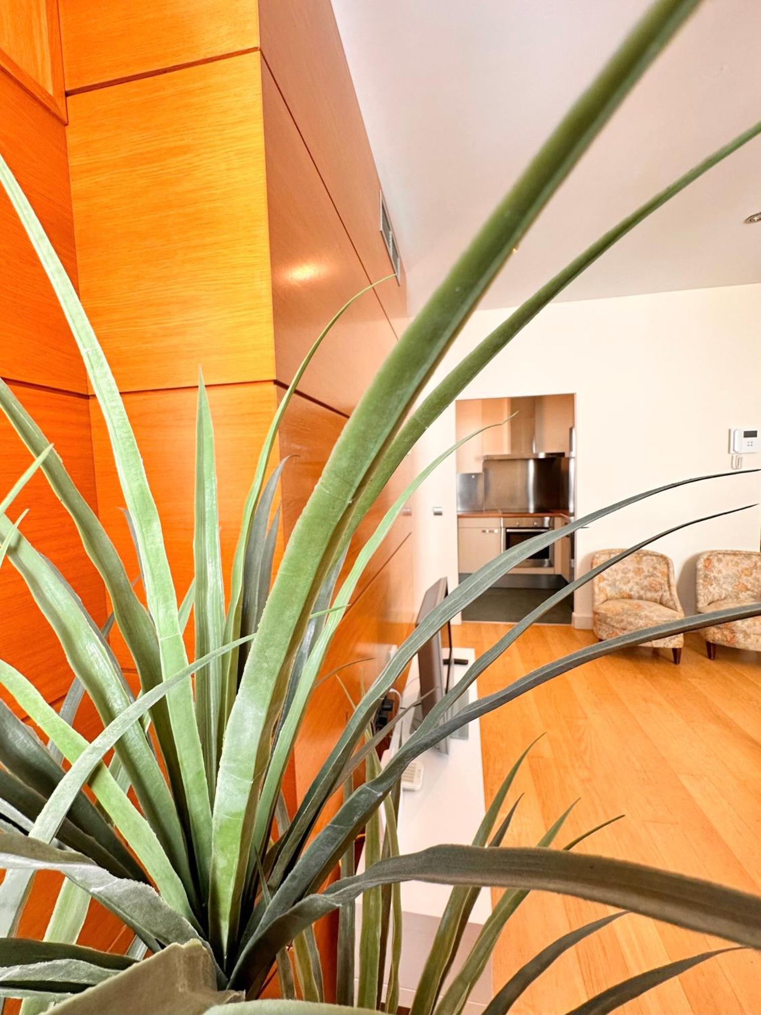 Penthouse Near Cathedral Private Rooftop Private Parking Sevilla Exteriör bild