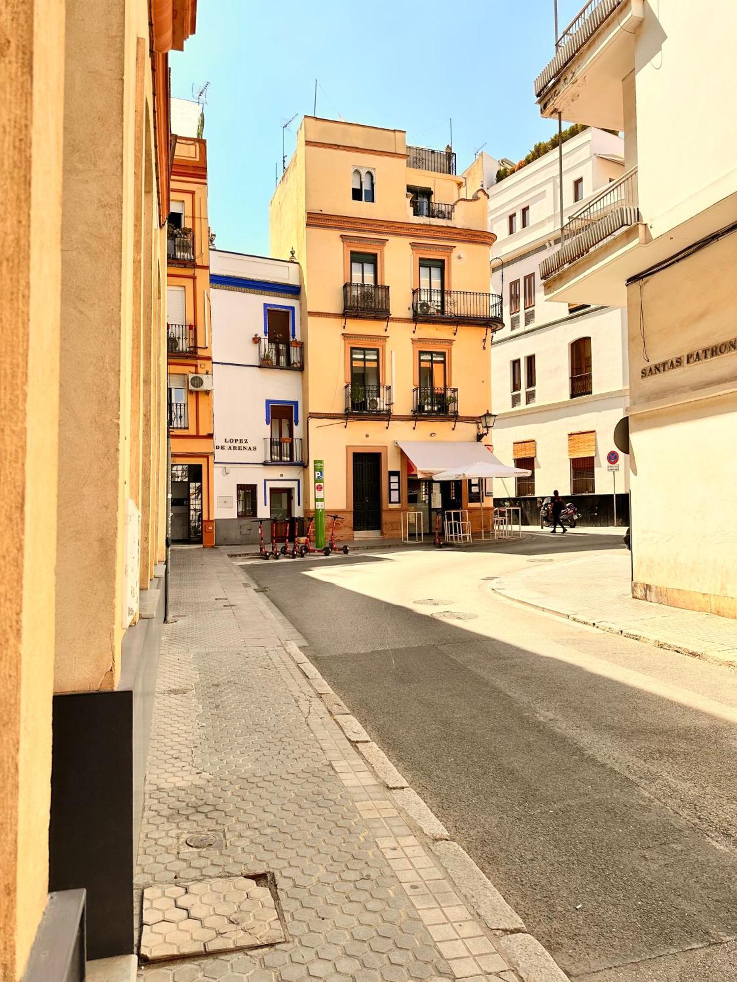 Penthouse Near Cathedral Private Rooftop Private Parking Sevilla Exteriör bild